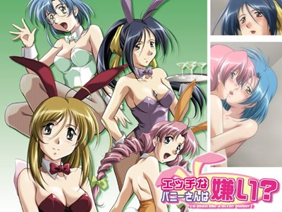 エッチなバニーさんは嫌い？