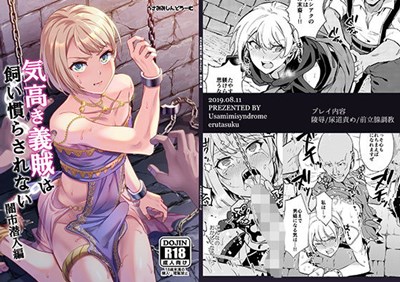 気高き義賊は飼い慣らされない 闇市潜入編