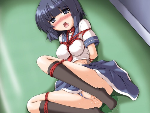 愛情と倒錯を教えた図書室サンプル1