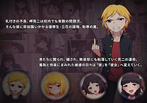 不良少年の躾け方 ～変態女装マゾへのメス堕ち調教録～サンプル2