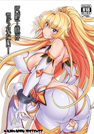 姫騎士様は視られたい!