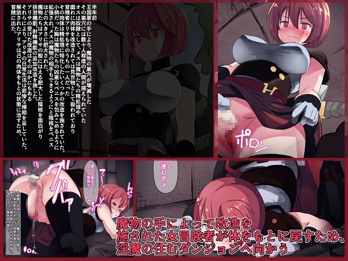 改造済女冒険者の冒険サンプル1