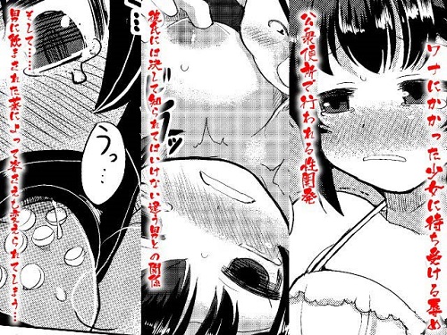 寝取肉便姫サンプル2