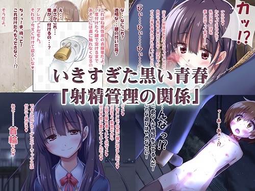 射精管理の関係サンプル3