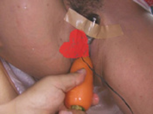 48歳！潮吹き野菜ピストン！サンプル4