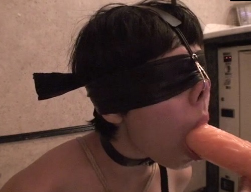シリーズ日本のマゾ女 被虐の熟女 本庄香奈子サンプル2