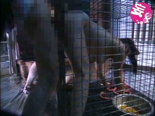 in MADNESS Vol.6＋αサンプル6