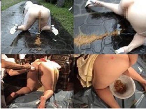 シリーズ日本のマゾ女 浣腸に苦しむ熟女 うみ Vol.2サンプル2