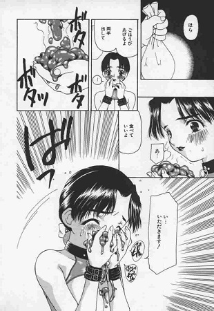 CATS ON THE BLACK CAGEサンプル4