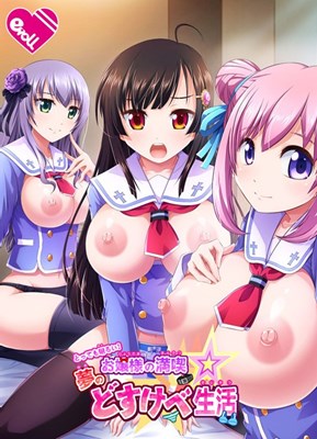 とっても明るい！ お嬢様の満喫☆夢のどすけべ生活
