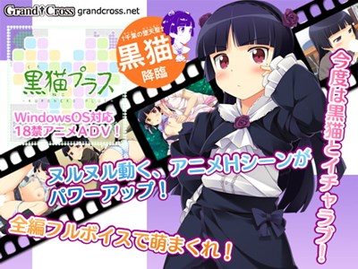 黒猫プラス