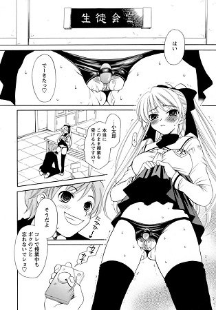 お嬢様とボクサンプル1