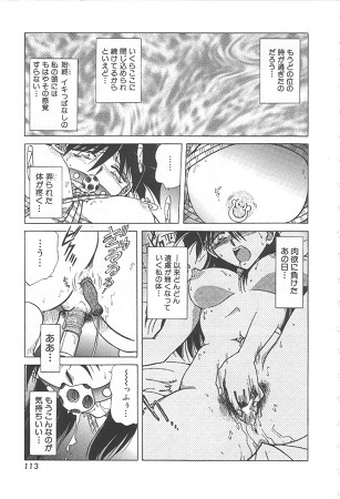 令嬢飼育サンプル5